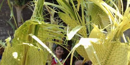 لماذا يحمل الأقباط سعف النخيل اليوم؟.. القصة الكاملة لـ أحد الشعانين