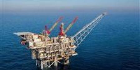 ميناء دمياط يستقبل ناقلة غاز مسال عملاقة بحمولة تفوق 72 ألف طن