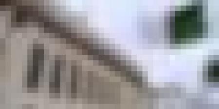 نواب المجلس الشعبي الوطني يصادقون على مشروع القانون المحدد للدوائر الانتخابية