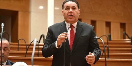 برلماني: قانون الإدارة المحلية يحتاج إلى إعادة صياغة لمواكبة رؤية الجمهورية الجديدة