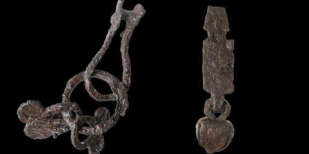 اكتشاف مجموعة نادرة لمعدات الخيول من عصر الفايكنج فى السويد