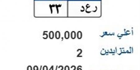 لوحة (رع د- 33) المميزة يصل سعرها 500 ألف جنيه