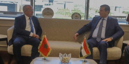 وزير الزراعة يبحث مع نظيره المغربي آفاق التكامل وتعزيز الاستثمارات الزراعية المشتركة