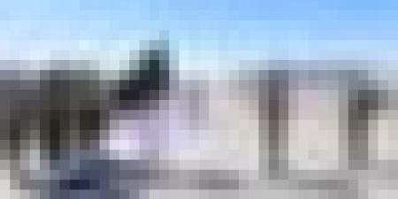 الفريق أول السعيد شنقريحة في زيارة عمل وتفقد إلى الناحية العسكرية السادسة