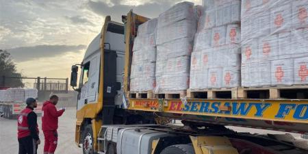 الهلال الأحمر يدفع بـ44 ألف سلة غذائية إلى غزة ضمن القافلة 172 من "زاد العزة"