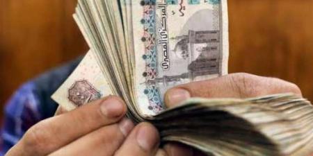 موعد زيادة المرتبات في مصر 2026 وتفاصيل التطبيق الرسمي