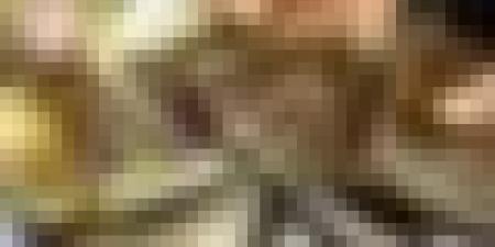 إحباط محاولة تهريب 209 كلغ من المخدرات في بني عباس