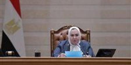 النائبة عبلة الهواري تشيد بتشكيل لجنة مصغرة لإعادة دراسة مشروع قانون الإدارة المحلية