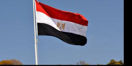 مصر: جهودنا متواصلة مع باكستان وتركيا لتعزيز الأمن والاستقرار في المنطقة