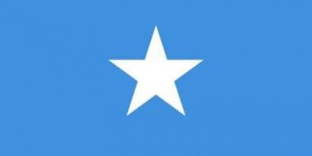 الصومال يتسلم مقعده في مجلس السلم والأمن الأفريقي