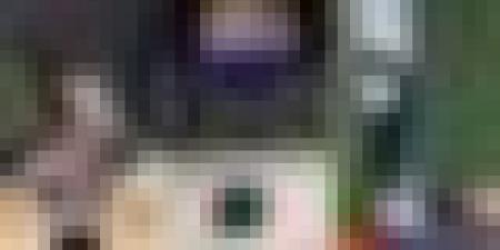 بعد 40 يوماً من الإغلاق.. الأقصى يستقبل المصلين بمشاهد مؤثرة