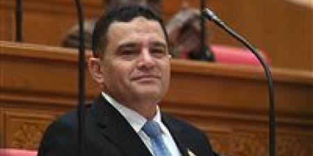 بعد 5 سنوات من صدوره.. النائب أمير الجزار يتساءل عن مصير لجنة تعيين حملة الماجستير والدكتوراه