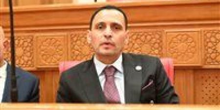 النائب إسلام التلواني: وقف إطلاق النار خطوة هامة لاحتواء التوترات الإقليمية بفضل الجهود المصرية