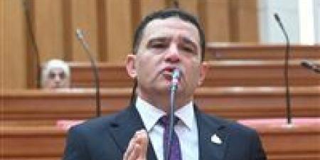 بعد مقترح سداد مليون جنيه من المواطن لسداد ديون الدولة.. النائب أمير الجزار لـ تحيا مصر: المقترح مالوش سند قانوني ومش هنقدر نلزم الناس تدفع