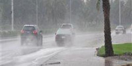 هيئة الأرصاد تكشف تفاصيل حالة الطقس في مصر خلال الأسبوع المقبل