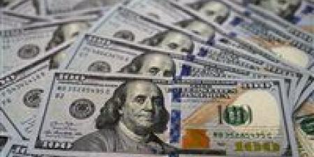 ضربة أمنية.. ضبط قضايا اتجار بالنقد الأجنبي بـ8 ملايين جنيه خلال 24 ساعة