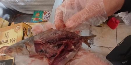 ضبط كميات كبيرة من الرنجة بلغت 2 طن و300 كجم مشتبه في صلاحيتها بالغربية