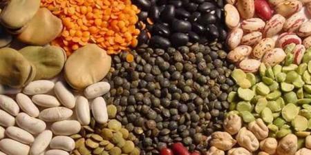 أسعار البقوليات اليوم السبت 11 أبريل 2026 في أسواق محافظة الغربية