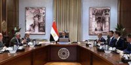 باستثمارات 2 مليار دولار.. مصر تدخل عصر الألومنيوم الثقيل بمصنع عملاق في شرق بورسعيد