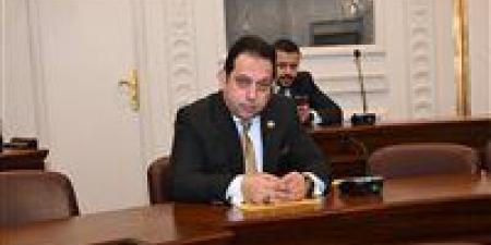 النائب محمد الجندي يطالب بتشديد الرقابة على الأسواق وتطوير دور البورصة السلعية