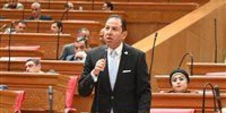 النائب حسن عمار: موازنة العام الجديد تضع الاقتصاد أمام اختبار التوازن بين الإيرادات والحماية الاجتماعية