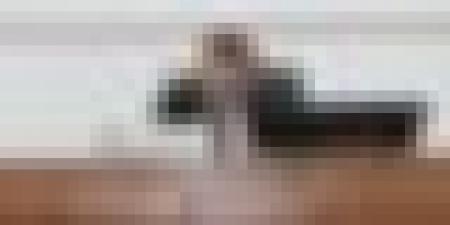 وزير الفلاحة يُشدّد على عملية تسوية العقار الفلاحي في أقرب الآجال