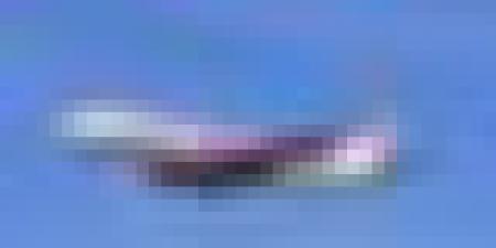 الجوية الجزائرية: تخفيضات على التذاكر من الخارج لفائدة الجالية