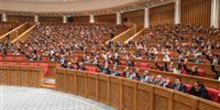 قانون الجمارك يضع ضوابط صارمة لمزاولة مهنة التخليص الجمركي في مصر