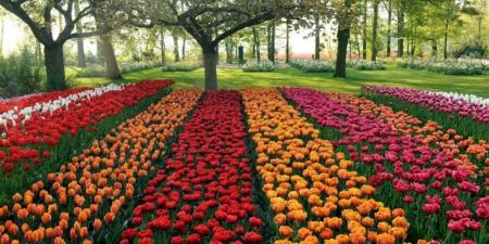 موعد بداية فصل الربيع 2026 في مصر