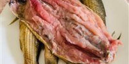 اعرف هتشتري بكام..أسعار الفسيخ والرنجة في مصر قبل شم النسيم 2026