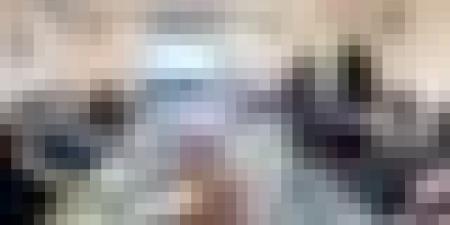 مجموعة " عز حديد" المصرية تبحث تجسّيد مشروع إنتاج الحديد المختزل وتطوير صناعة الصلب بالجزائر