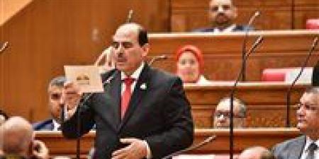 النائب زكريا حسان: توجيهات الرئيس بشأن قوانين الأسرة خطوة جادة نحو معالجة الخلل التشريعي وتعزيز استقرار المجتمع