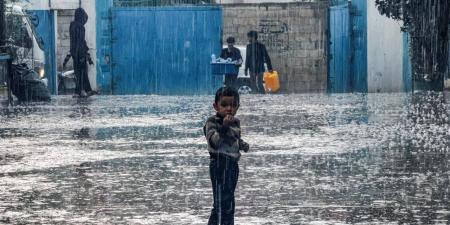 بين الشائعات والواقع.. ما قصة اختفاء الأطفال في غزة؟