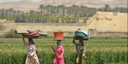 نهضة زراعية متكاملة.. «حياة كريمة» تعيد الحياة لأراضي الريف وتدعم المشروعات الإنتاجية