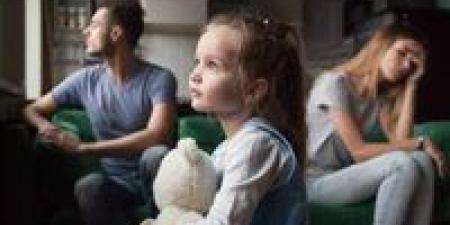 رئيس مركز المعلومات الأسبق: معدلات الطلاق ترتفع بعد تعديل سن الحضانة