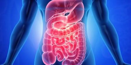 عدد مرات التبرز يكشف أسرارا عن صحة الأمعاء