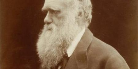 ذكرى رحيل داروين صاحب نظرية التطور.. ما فكرته دون مبالغة