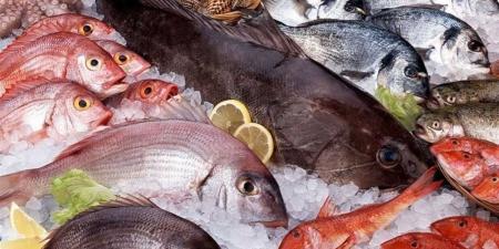 أسعار الأسماك والمأكولات البحرية اليوم 20 إبريل في أسواق الدقهلية