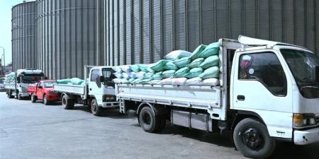 توريد 1748 طن قمح لصوامع البحيرة حتى صباح اليوم