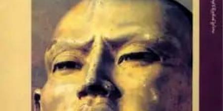 حسانين فهمي: مصر أول دولة عربية وإفريقية أسست قسما لتدريس الصينية