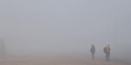 شبورة كثيفة صباحًا وارتفاع تدريجي بالحرارة.. تفاصيل طقس الثلاثاء في مصر