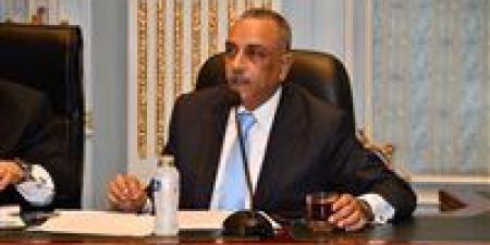 بالتوافق.. اختيار الطماوي أمينًا للجنة التشريعية بالمجلس القومي لحقوق الإنسان