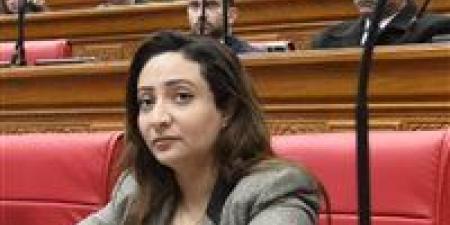النائبة كريستينا عادل لـ"تحيا مصر : قرار تسعير الكهرباء يثير تساؤلات بشأن العدالة الاجتماعية