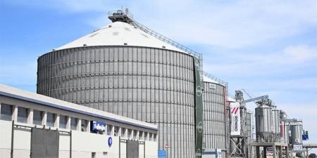 توريد “الذهب الأصفر” يتواصل بقوة في الشرقية.. أكثر من 13 ألف طن قمح حتي اليوم