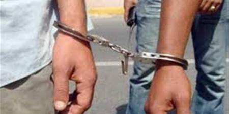 تشديد عقوبة البلطجة.. الحبس 5 سنوات عند اصطحاب حيوان لإثارة الذعر