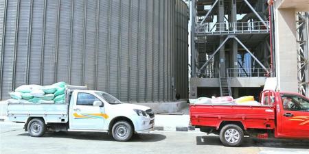 توريد 2957 طن قمح محلى لشون وصوامع البحيرة حتى اليوم