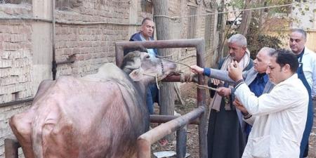 الخدمات البيطرية: علاج 645 حيوانًا و3740 طائرًا ضمن قافلة مجانية بكفر الشيخ