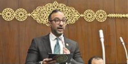 النائب أحمد الحمامصي يتساءل: هل تحولت مكاتب تسوية المنازعات الأسرية إلى إجراء شكلي؟