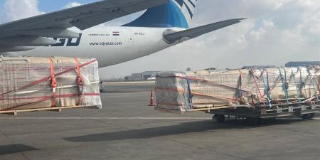 "مصر للطيران" تفتح باب التعاقدات المؤقتة بشروط تنافسية بالشحن الجوي