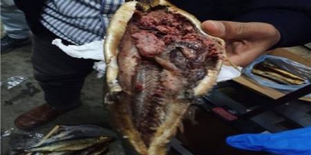 "بيطري القاهرة": ضبط 27.6 طن لحوم ودواجن وأسماك فاسدة